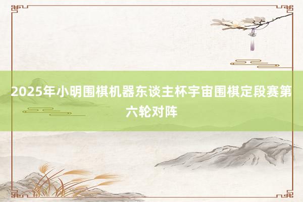 2025年小明围棋机器东谈主杯宇宙围棋定段赛第六轮对阵