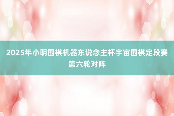 2025年小明围棋机器东说念主杯宇宙围棋定段赛第六轮对阵