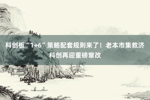 科创板“1+6”策略配套规则来了！老本市集救济科创再迎重磅窜改
