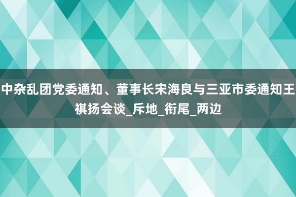 中杂乱团党委通知、董事长宋海良与三亚市委通知王祺扬会谈_斥地_衔尾_两边