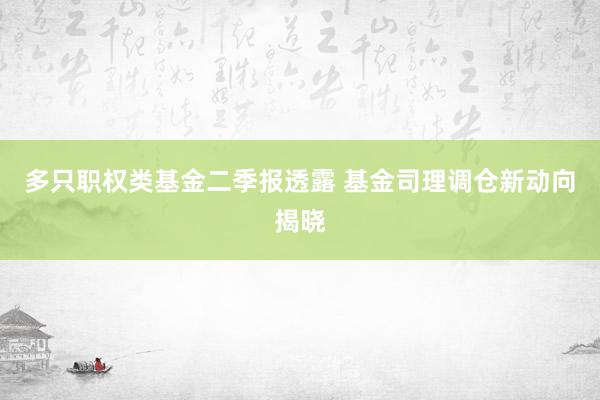 多只职权类基金二季报透露 基金司理调仓新动向揭晓