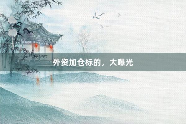 外资加仓标的，大曝光