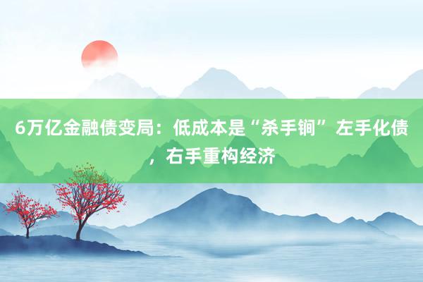 6万亿金融债变局：低成本是“杀手锏” 左手化债，右手重构经济