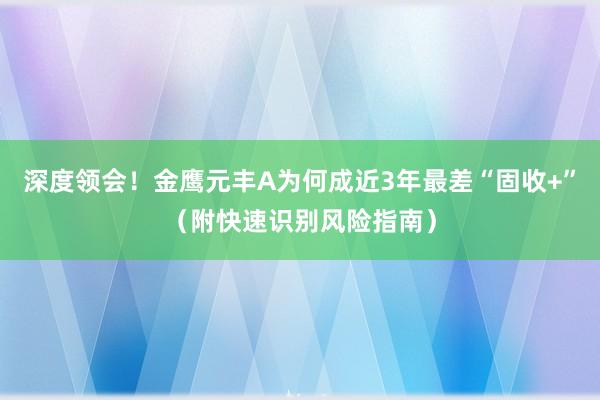 深度领会！金鹰元丰A为何成近3年最差“固收+”（附快速识别风险指南）