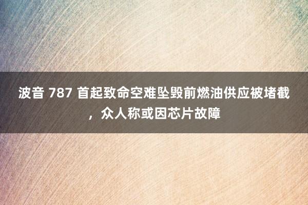 波音 787 首起致命空难坠毁前燃油供应被堵截，众人称或因芯片故障