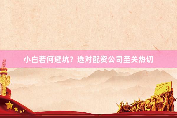 小白若何避坑？选对配资公司至关热切