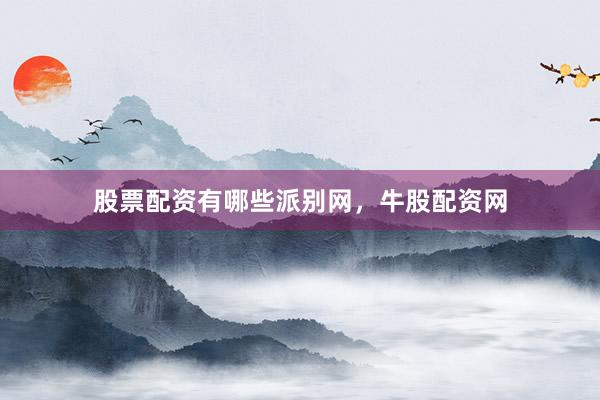 股票配资有哪些派别网，牛股配资网