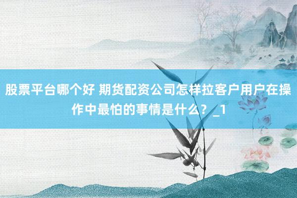 股票平台哪个好 期货配资公司怎样拉客户用户在操作中最怕的事情是什么？_1
