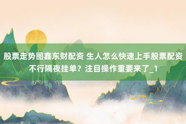 股票走势图鑫东财配资 生人怎么快速上手股票配资不行隔夜挂单？注目操作重要来了_1