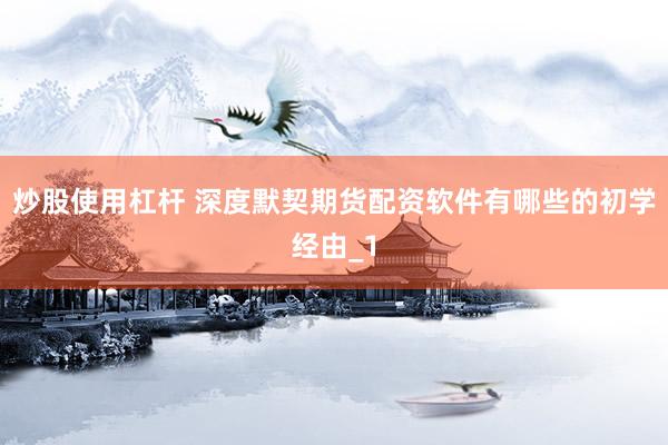 炒股使用杠杆 深度默契期货配资软件有哪些的初学经由_1
